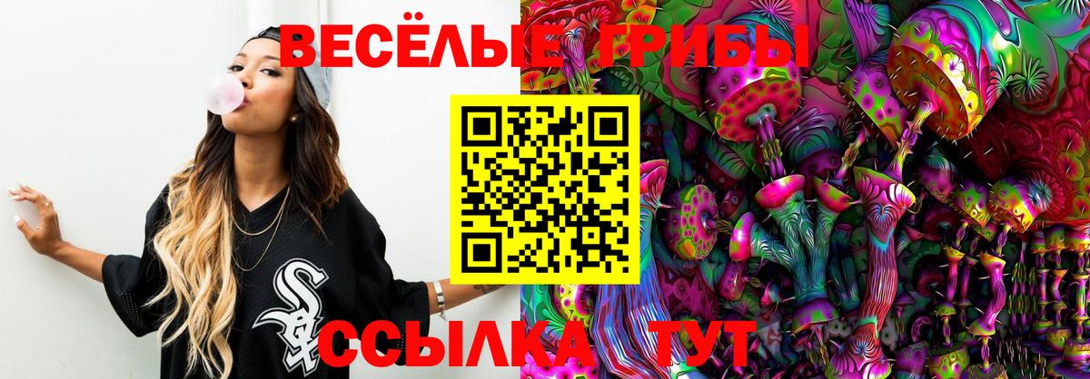Галлюциногенные грибы прущие грибы Жигулёвск